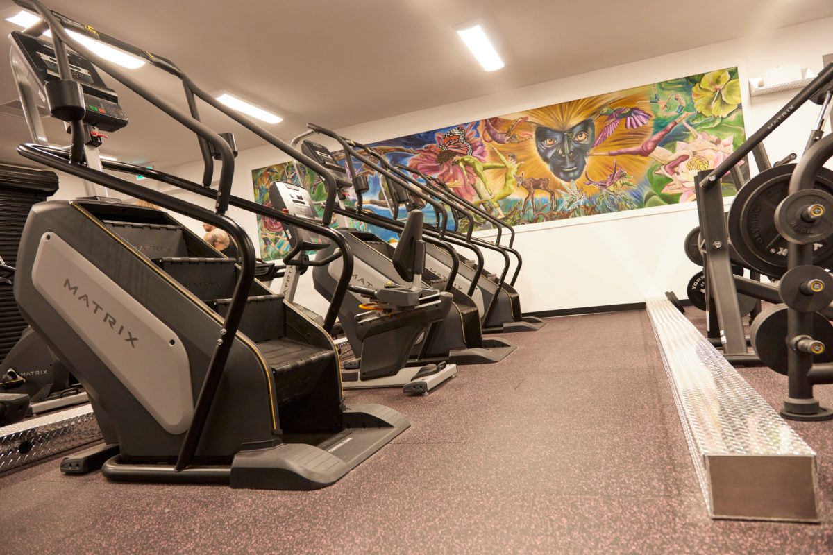 Truth Gym Gallery Cardio Section | Cardio Equipment Victoria BC Canada | Matrix Climbmill